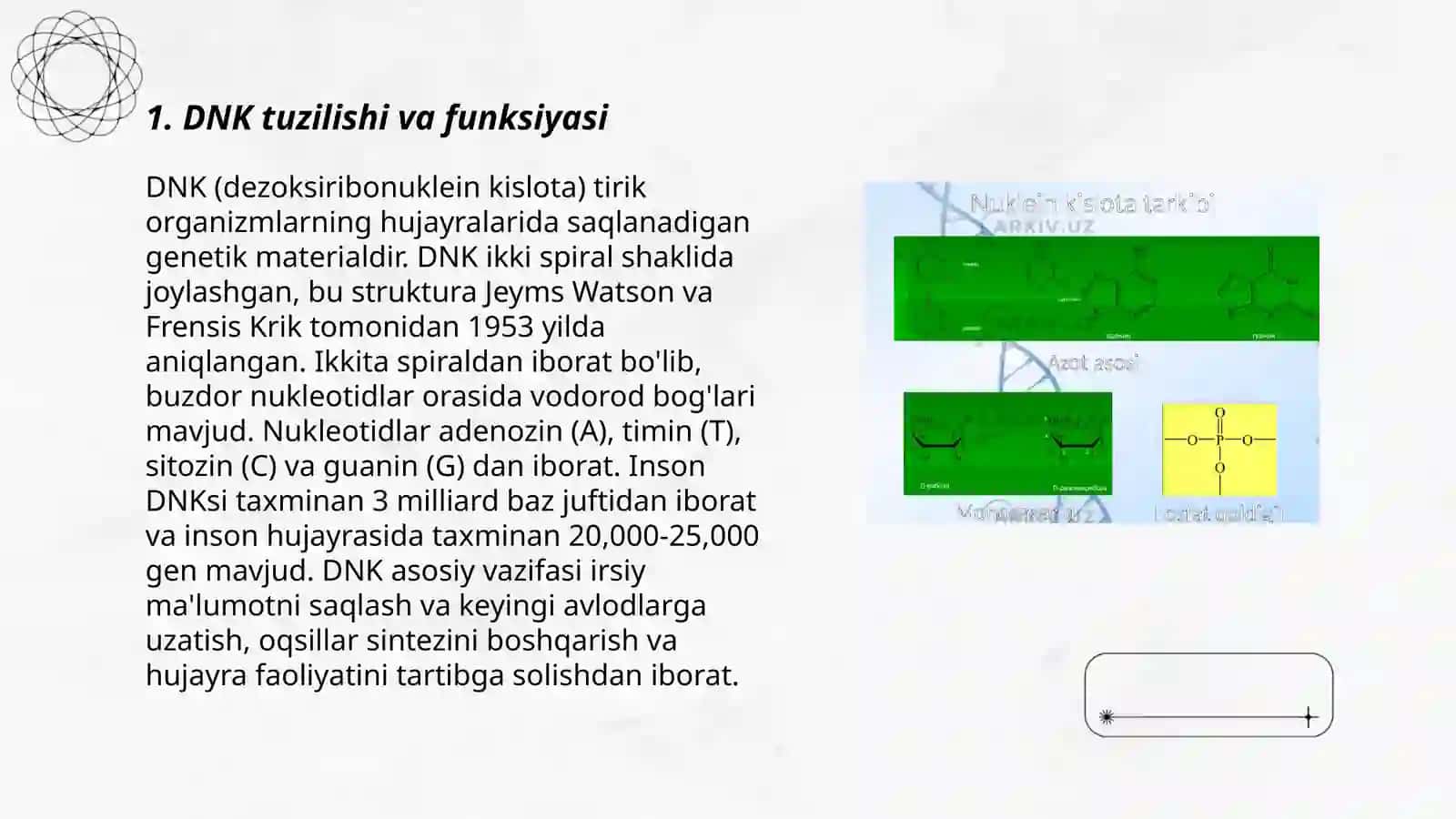 DNK strukturasi 3