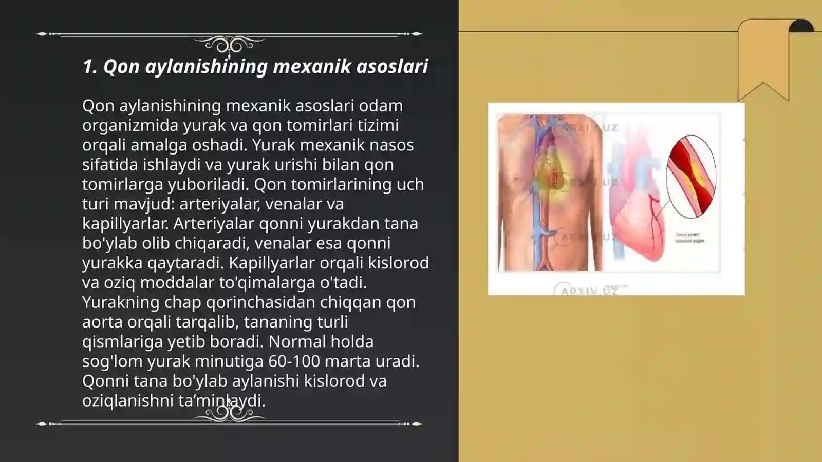 Qon aylanishining biomexanikasi 3
