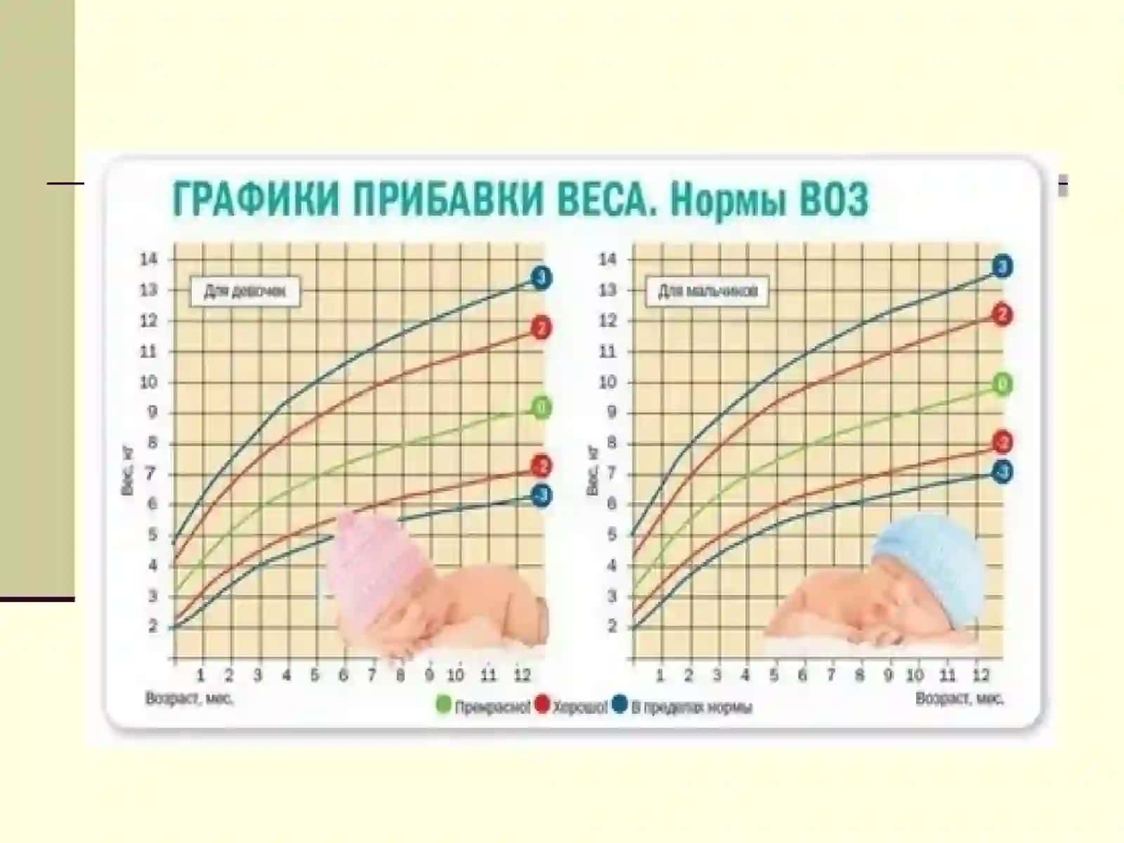 Bolalarni jismoniy rivojlanishning asosiy ko’rsatkichlari 3