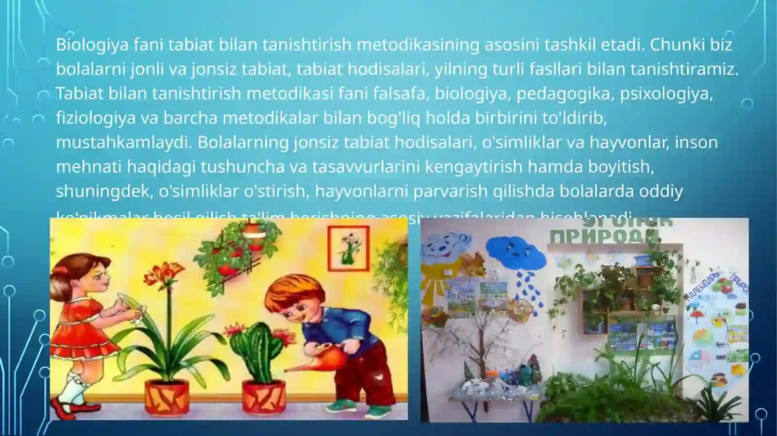 Maktabda tirik tabiat burchagini tashkil etish va unda olib boriladigan o'quv ishlari 3