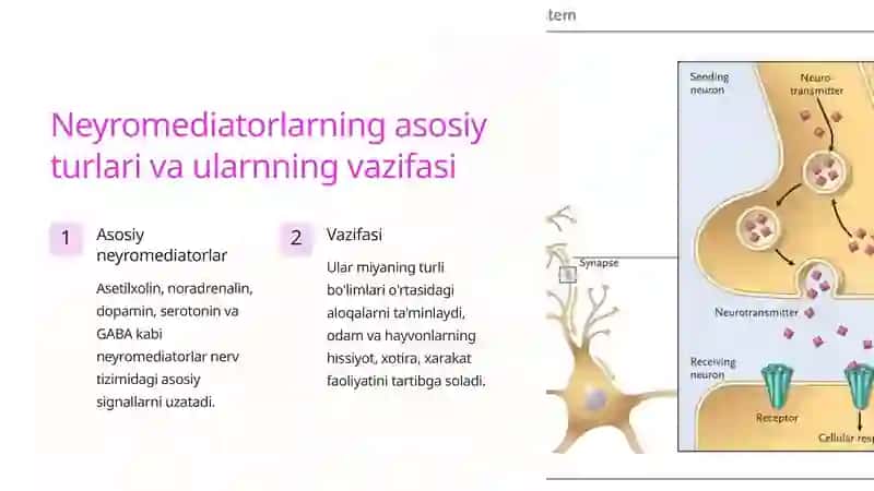 Neyromediatorlar biosintezi, ahamiyati va kasalliklari 3