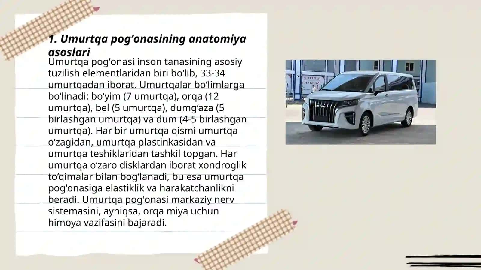 Umurtqa pogʻonasining anatomiya asoslari 3