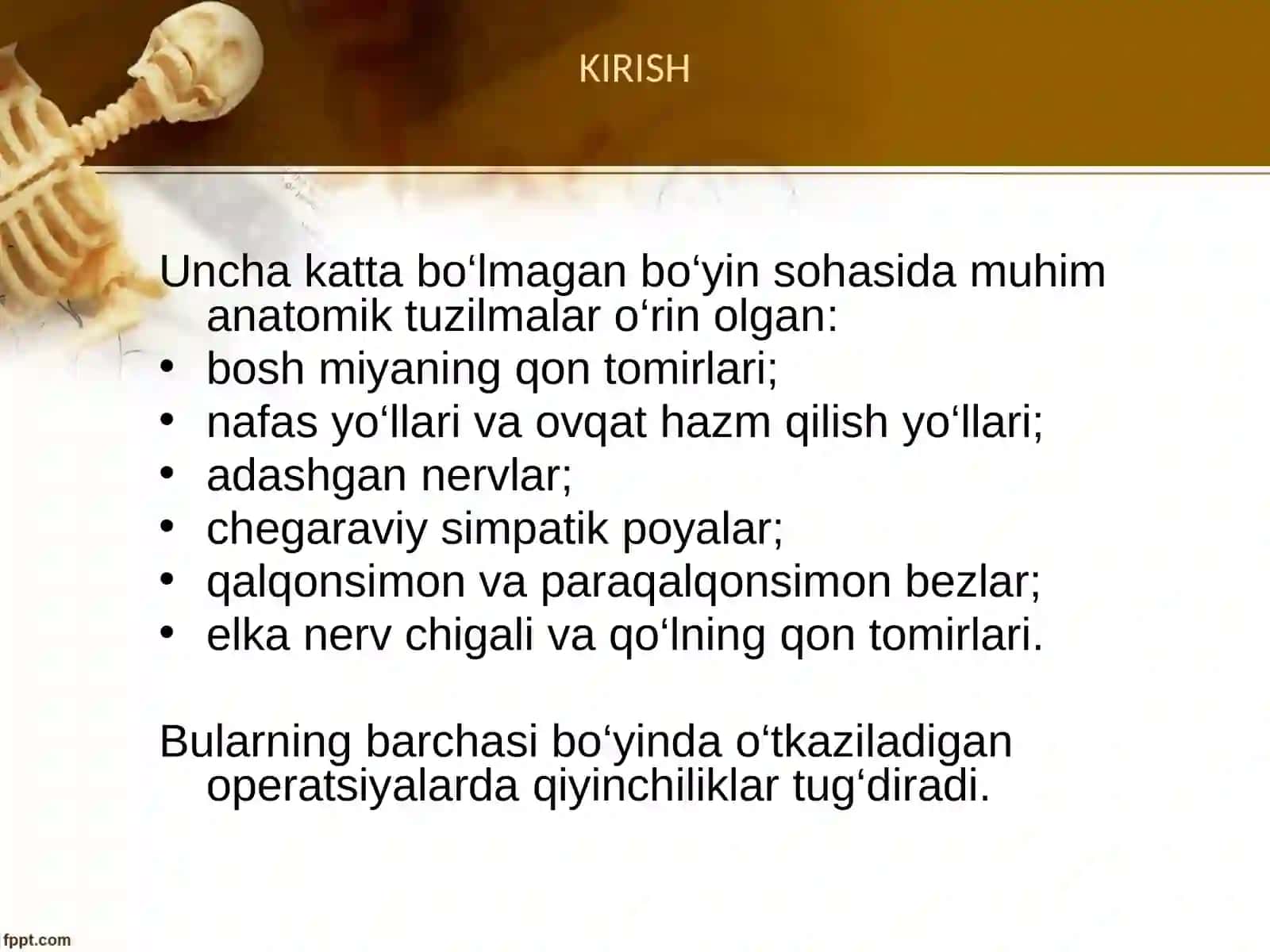 Boʻyin sohasi klinik anatomiyasi 3