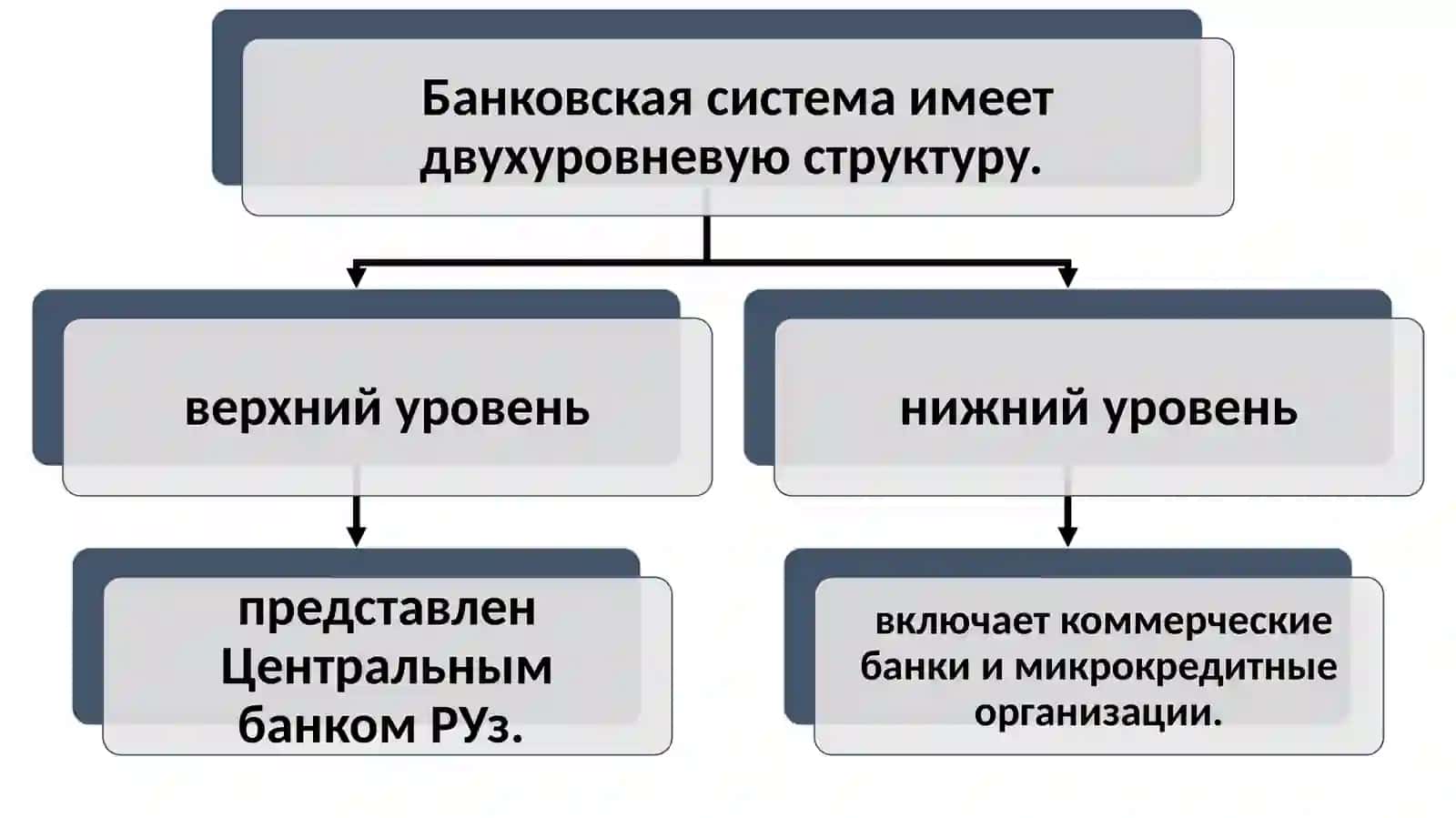 Банковская система и ее структура 3