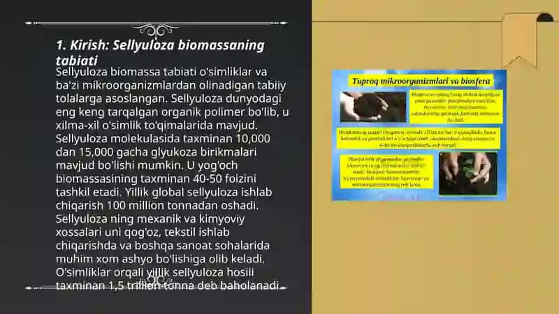 Sellyulozali manbalardan biogaz olish bosqichlari 3