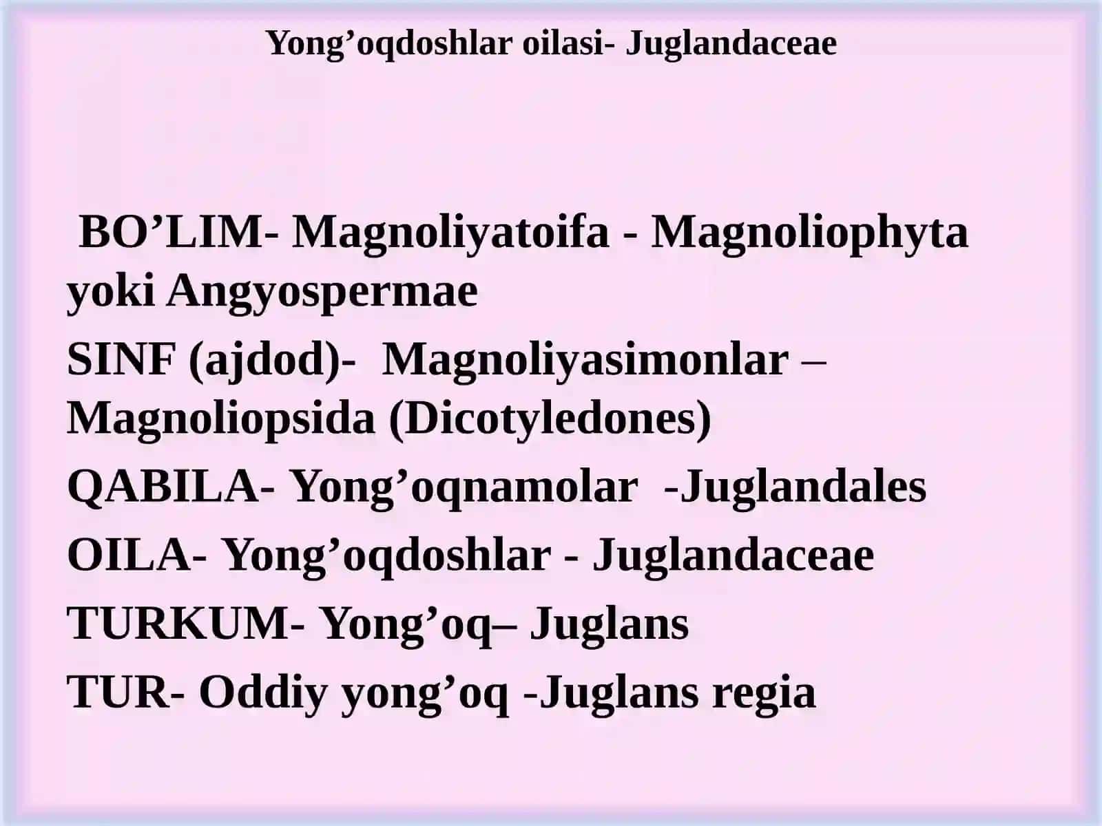 Yong’oqdoshlar-Juglandaceae oilasi 3
