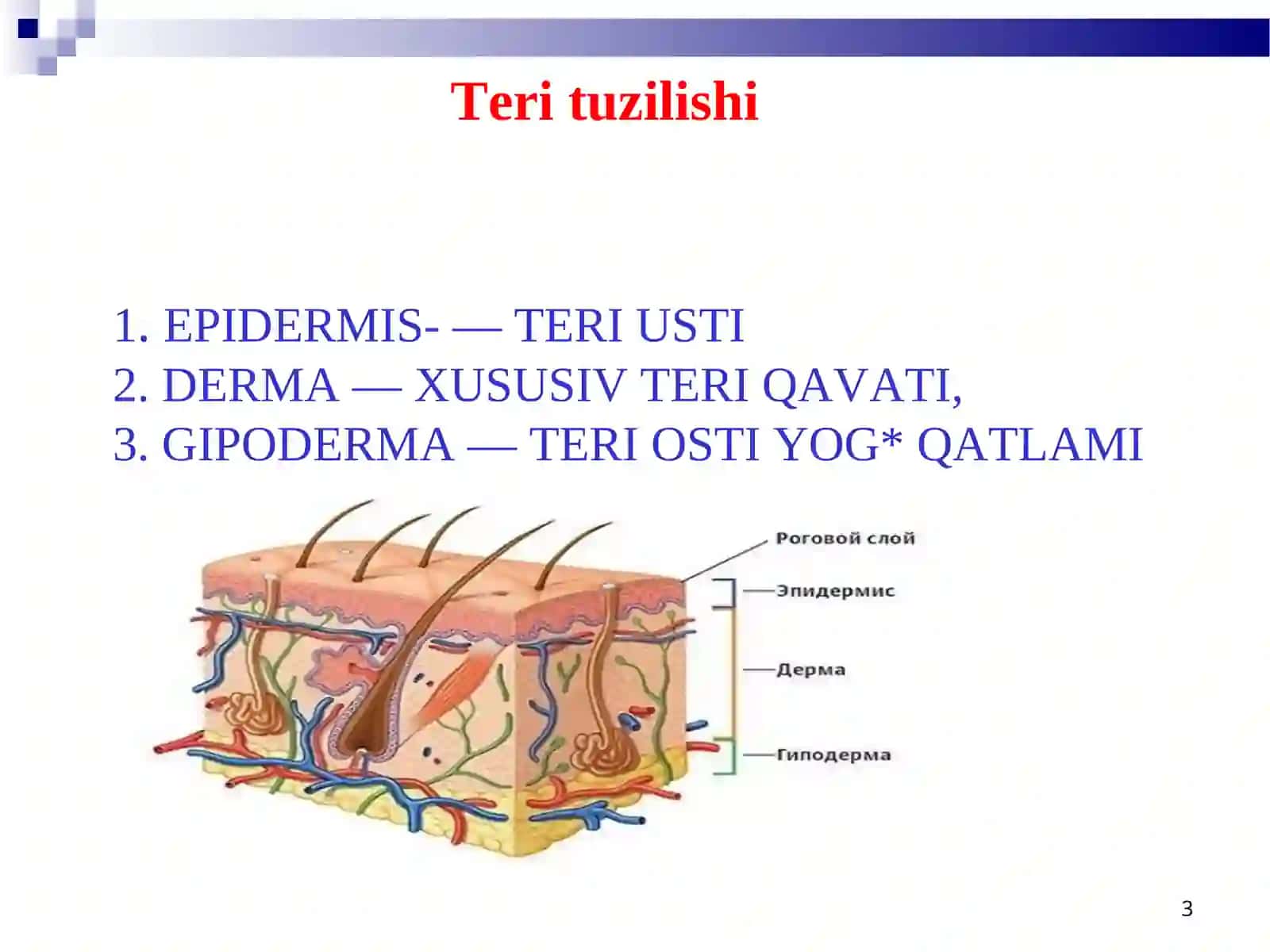 Bolalarda teri, teri osti yog‘ qavatini jarohatlanish semiotikasi va sindromlari 3