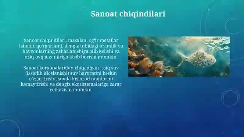 Dunyo okeani suvlarining ifloslanish manbalari 3