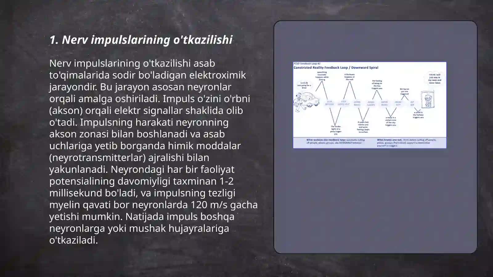 Nerv jarayonlarining uyg’unligi 3