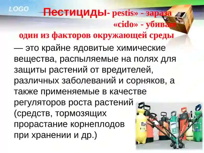 Зависимость здорового человека от окружающей среды 3