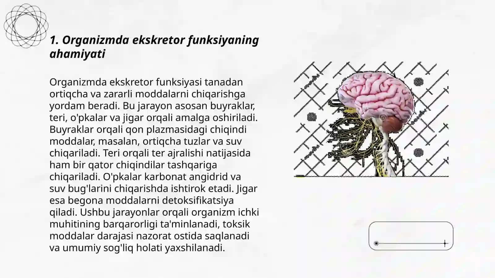 Organizmning ekskretor funksiyasi 3