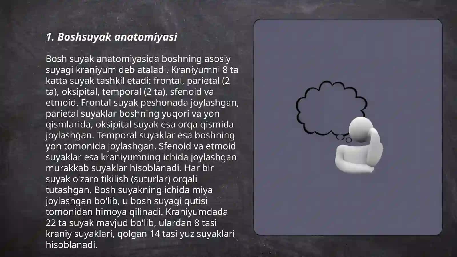 Boshsuyak anatomiyasi 3