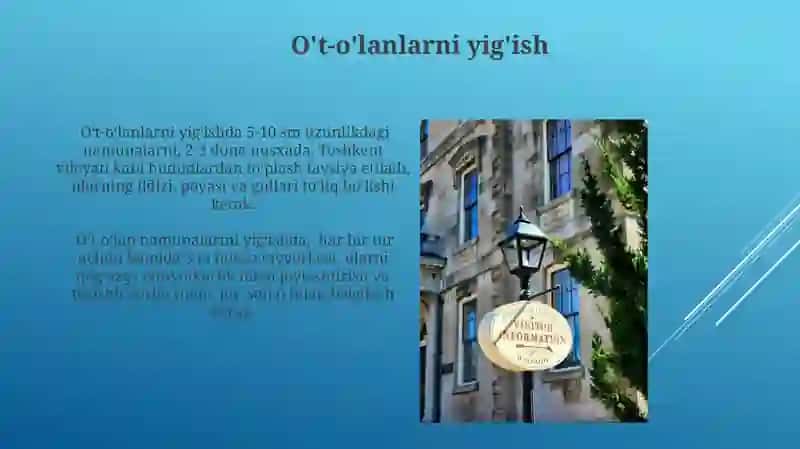 Gerbariy tayyorlash va tayyorlash usullari haqida ma'lumot berish 3