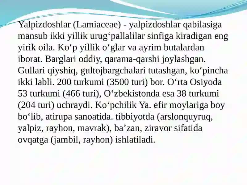 Yalpizdoshlar 3