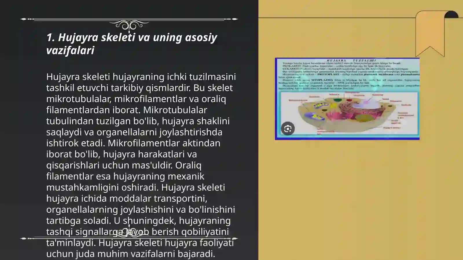 Hujayra sitaskeletning sturukturaviy va funksional tashkil etilishi 3