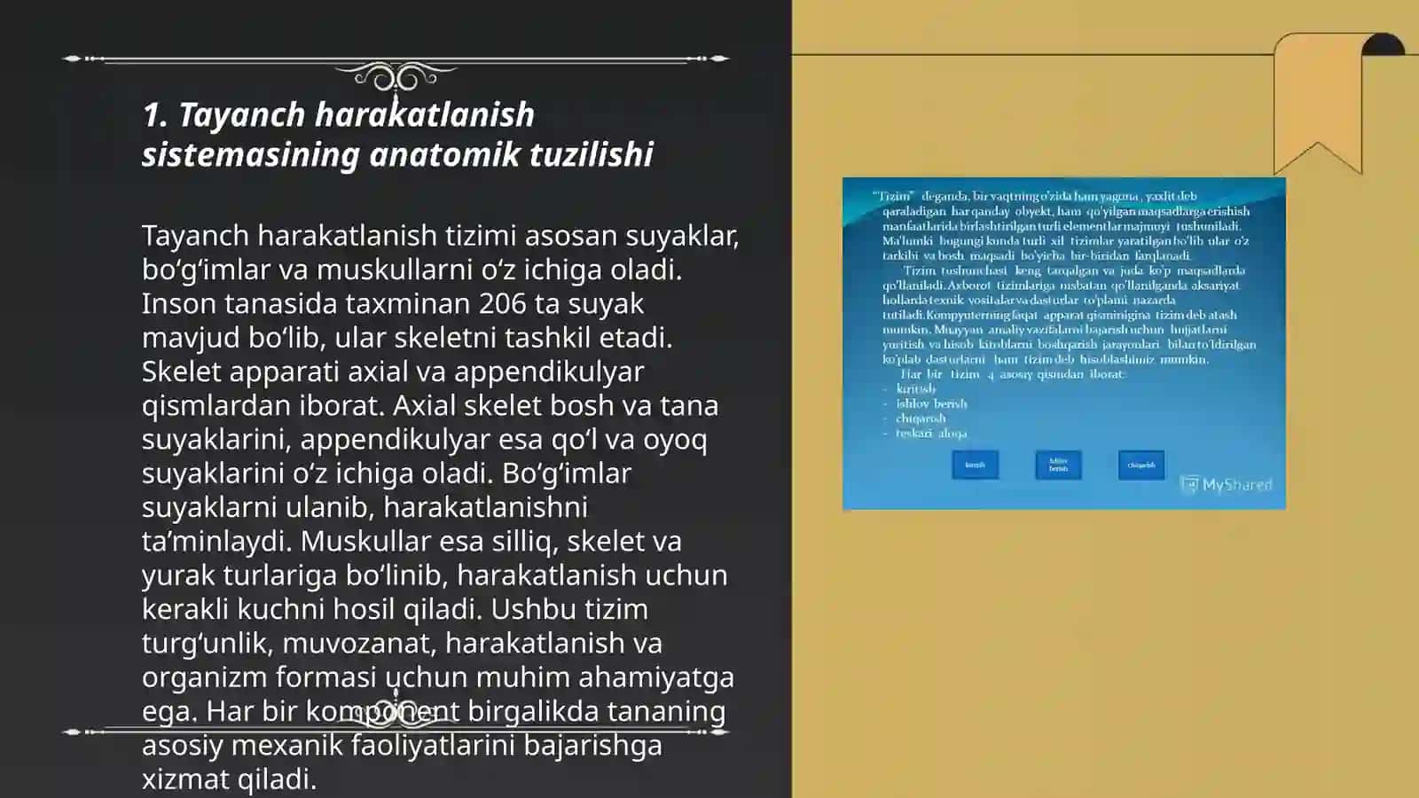 Tayanch harakatlanish sistemasi haqida tushuncha va vazifalari 3