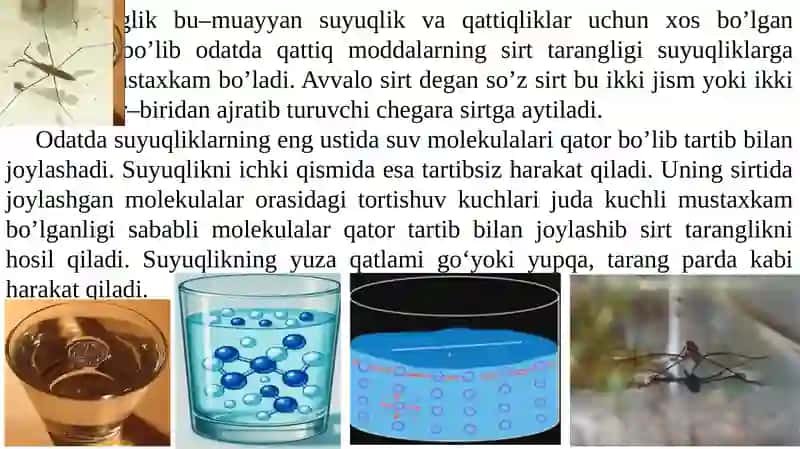 SIRT HODISALAR. SIRT TARANGLIK. SIRT HODISALARNING FIZIK–KIMYOSI 3