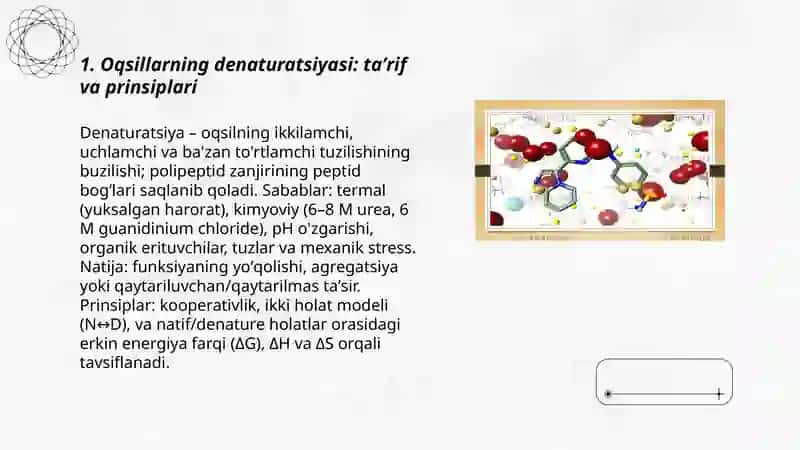 Oqsillarning denaturatsiyasi va folding, Folding jarayonida shaperonlarning roli 3
