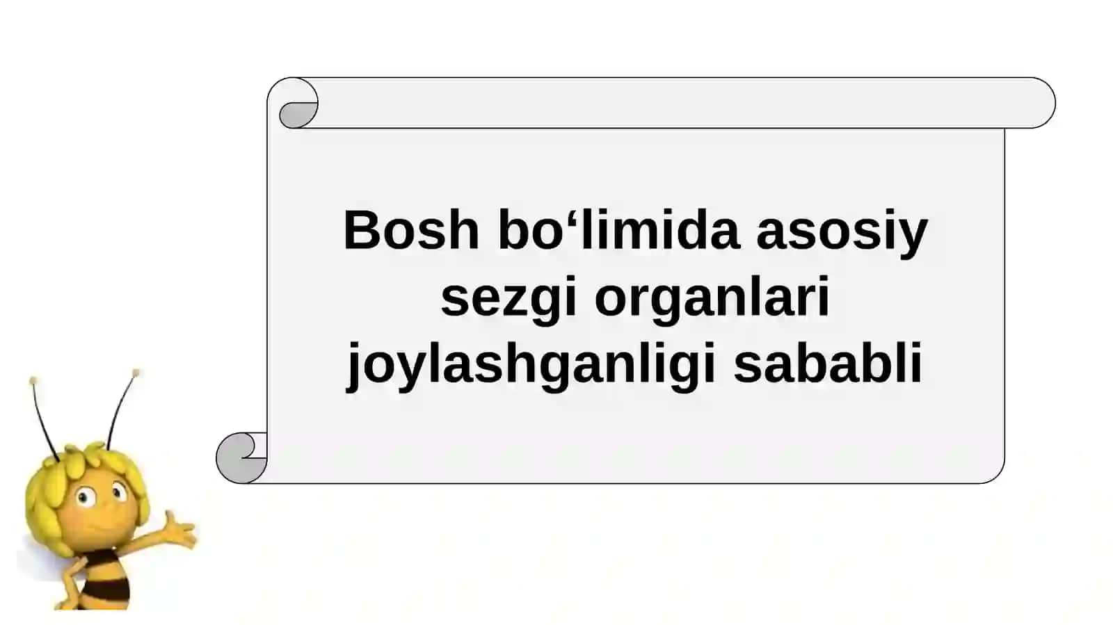 HAYVONLARNING TANA QOPLAMLARI VA HARAKAT ORGANLARI EVOLUTSIYASI 3