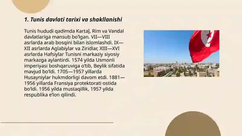 Tunis davlati va uning konstitutsiyasi haqida ma'lumot 3