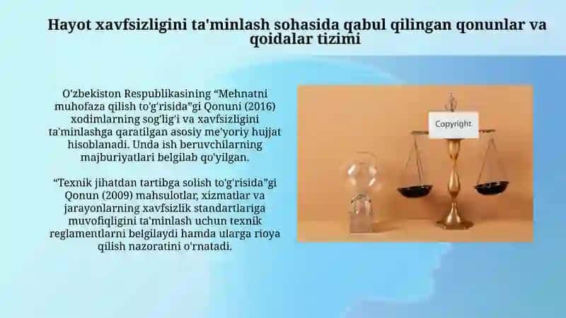 Hayot xavfsizligini ta'minlash sohasidagi qonunlar 3