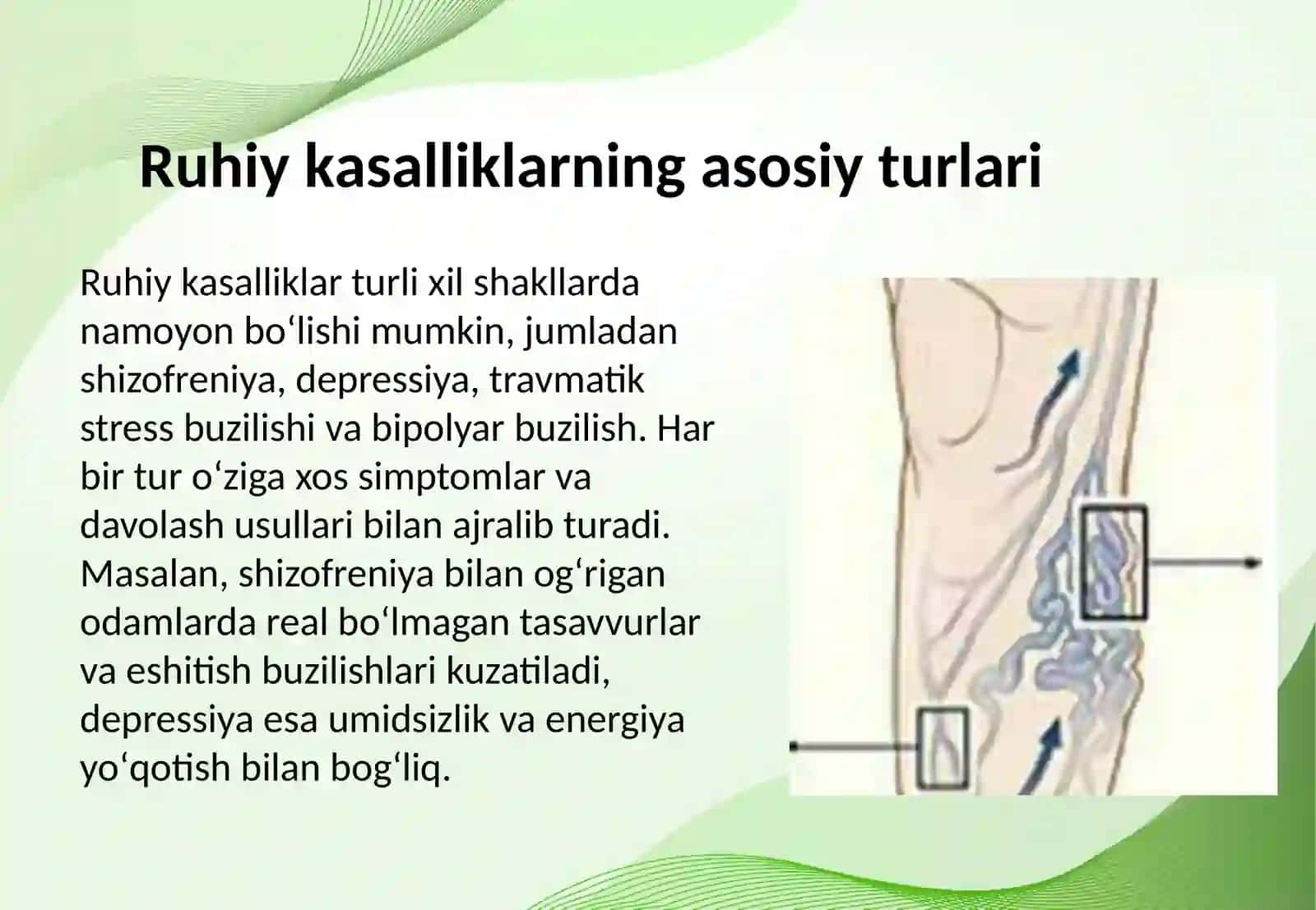 Psixopatologiya. Ruhiy kasalliklarning umumiy tarifi va fiziologik asoslari 3