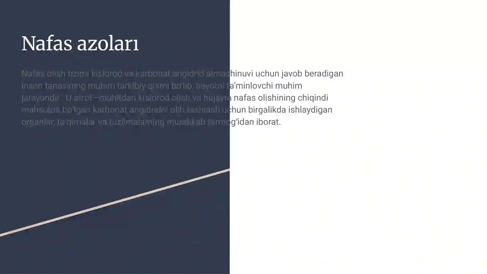 Nafas yöllarıga kıruvchı a'zolar 3