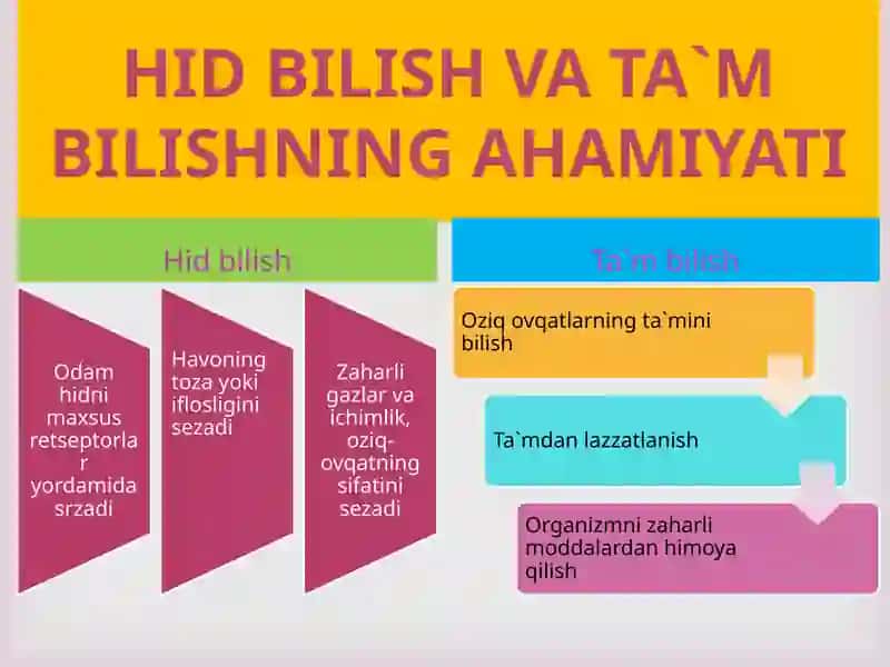 HID BILISH VA TA`M BILISHORGANLARI 3