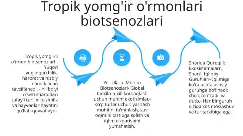 Yer Sharida Quruqlik Ekosistemalarni Shartli Iqlimiy Guruhlari Va Ularni Muhim Biotsenozlari 3