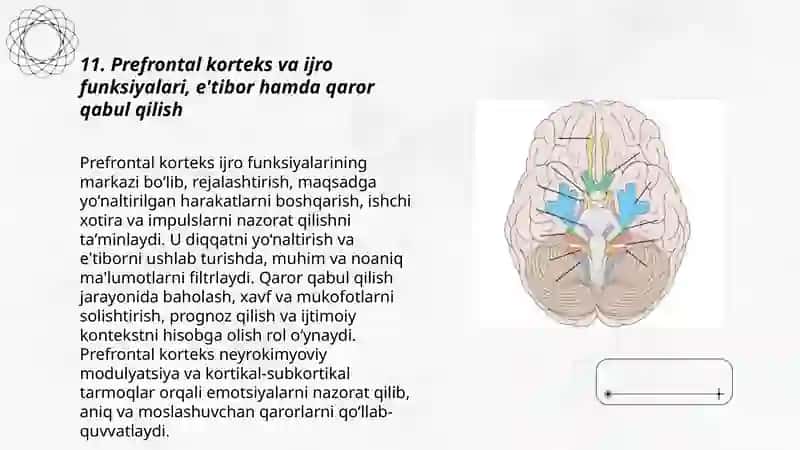 Miyya Qobig’ining Asosiy markazlari va ularning Vazifalari 3