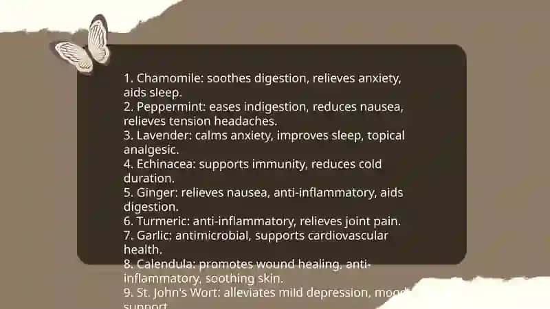Remedy herbs 3