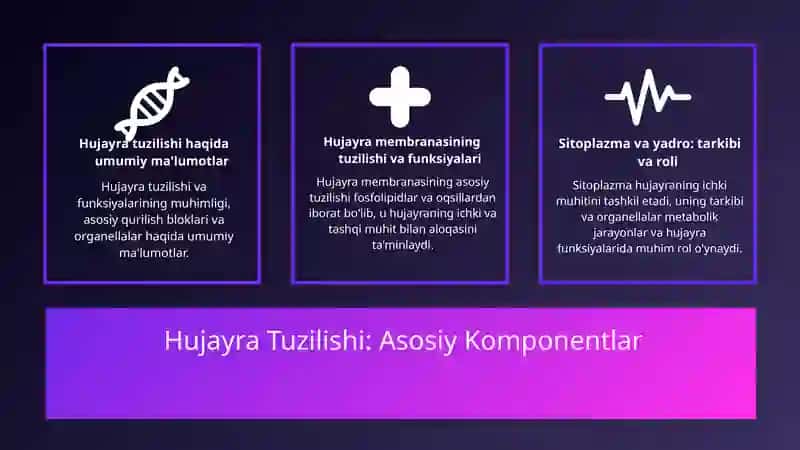 Hujayra tuzilishi. Hujayra nazariyasi. Hayvon va odam xromosomalarining morfofunksional xarakteristikasi. 3