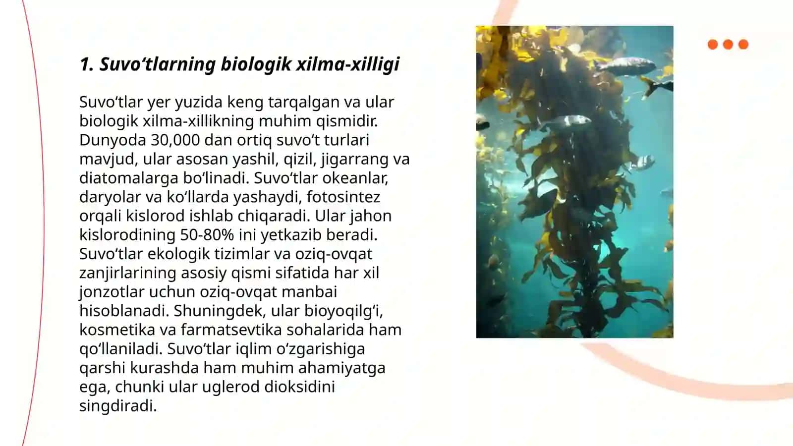 Suvoʻtlarning zamonaviy boʻlimlari va kategoriyalari 3