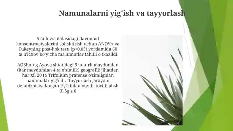 dorivor oʻsimliklar tayorlash va tahlil qilish 3