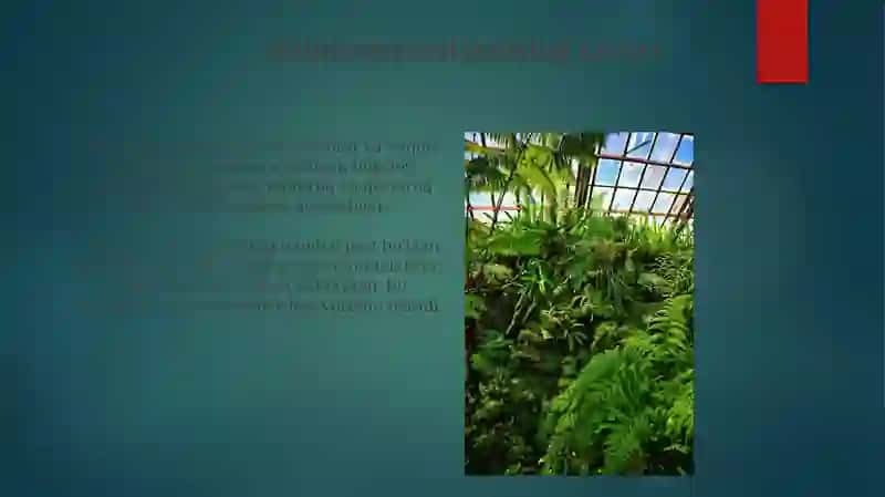 O'simlik Tuzuliishiga Ta'sir Etgan Ekologik Omillar 3