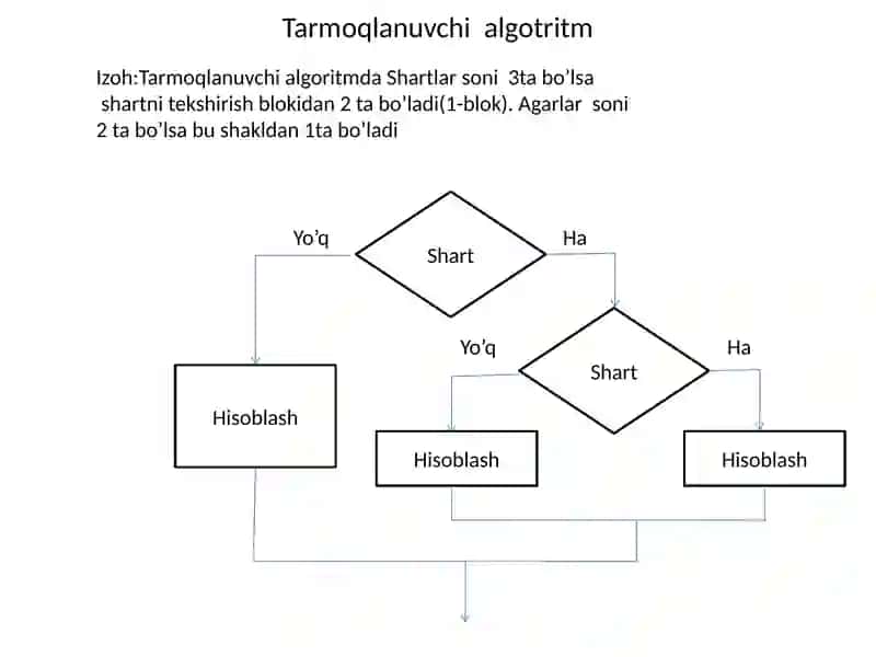 Tarmoqlanuvchi va takrorlanuvchi algoritmlar. 3