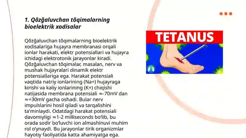 Qõzğaluvchan tõqimalarda bioelektrik xodisalar 3