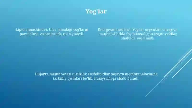 Oziq -Ovqat Mahsulotlarining Kimyoviy Tarkibi 3