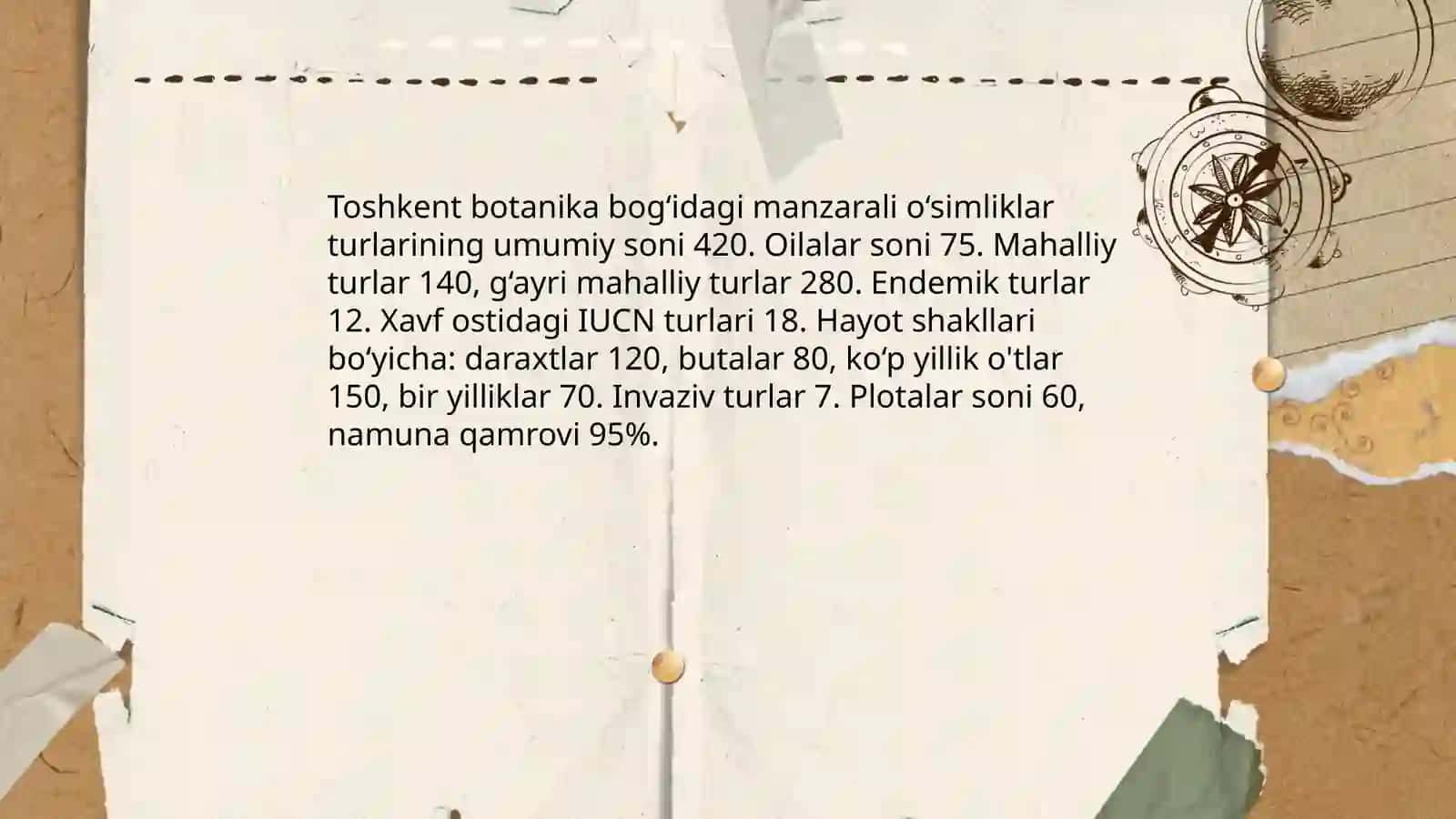 Toshkent botanika boğidagi manzarali osimliklar tahlili Husanova 3