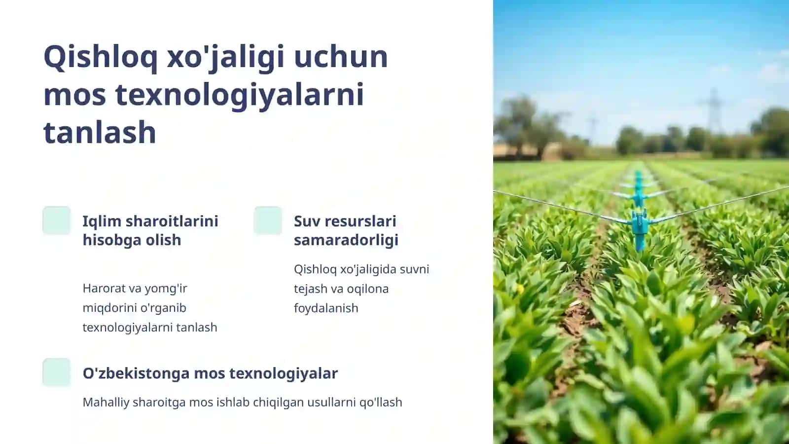 Qishloq xo'jaligida innovatsion texnologiyalarni joriy etish tayyorgarligining asosiy vazifalari 3