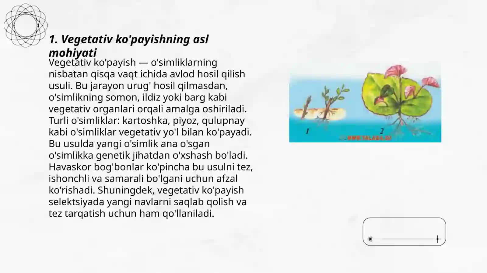 OSIMLIKLARNING REGETATIV KOPAYISHINI ORGANISH 3