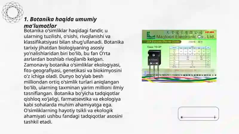 Botanika haqida umumiy ma'lumotlar 3