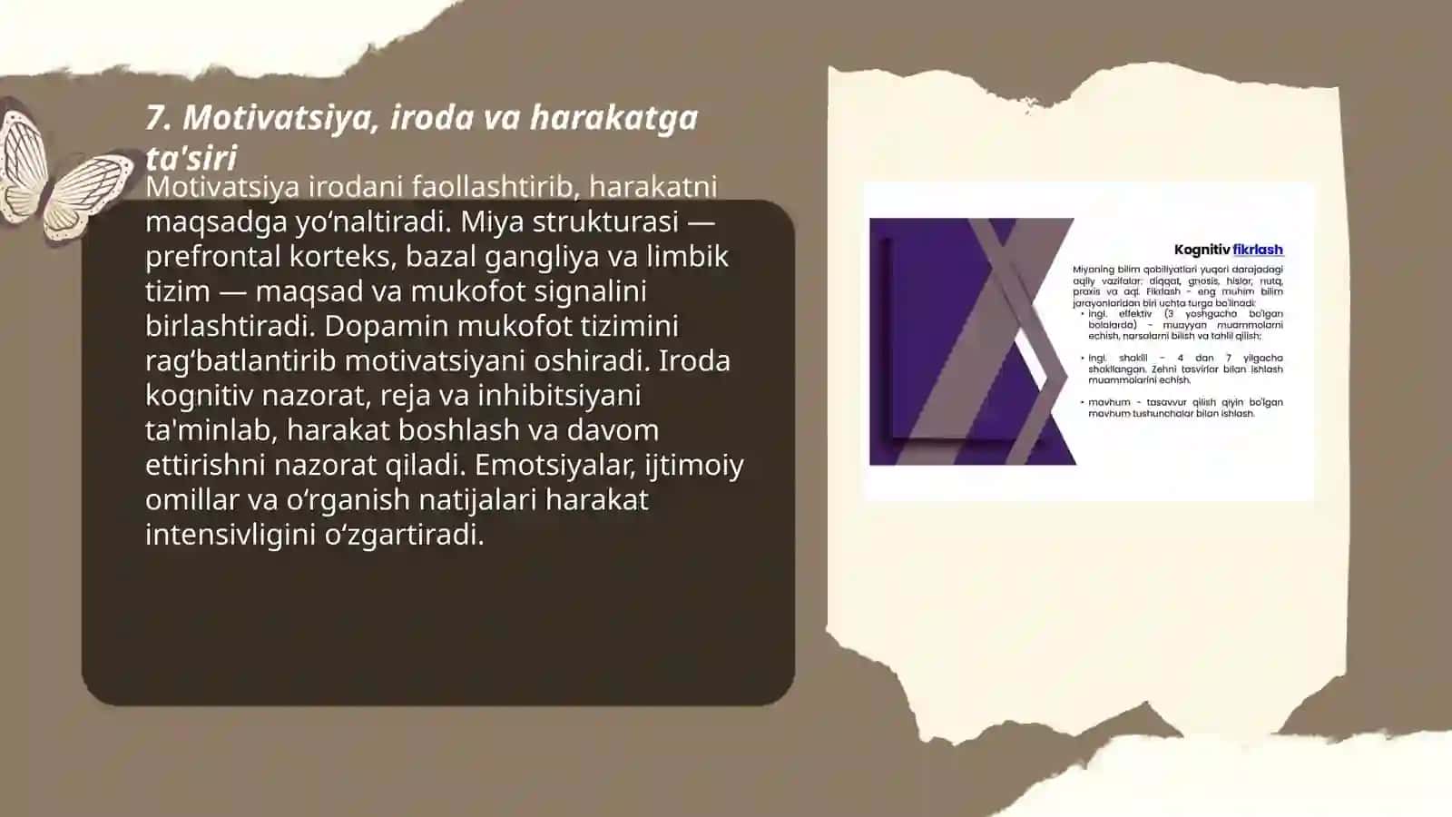 Kognitiv jarayonlarni shakllanishi. Insonda aks ettirish darajalari 3