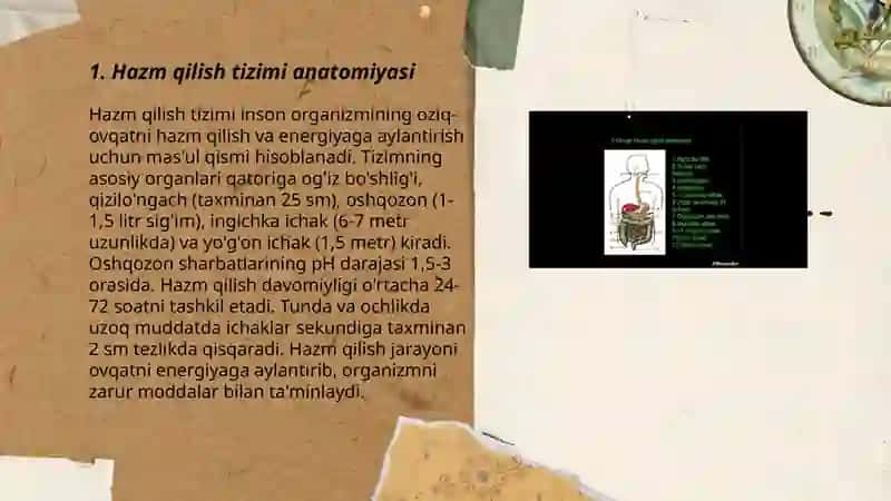 Hazm qilish turlari va hazm qilish sistemasining fermentlari 3