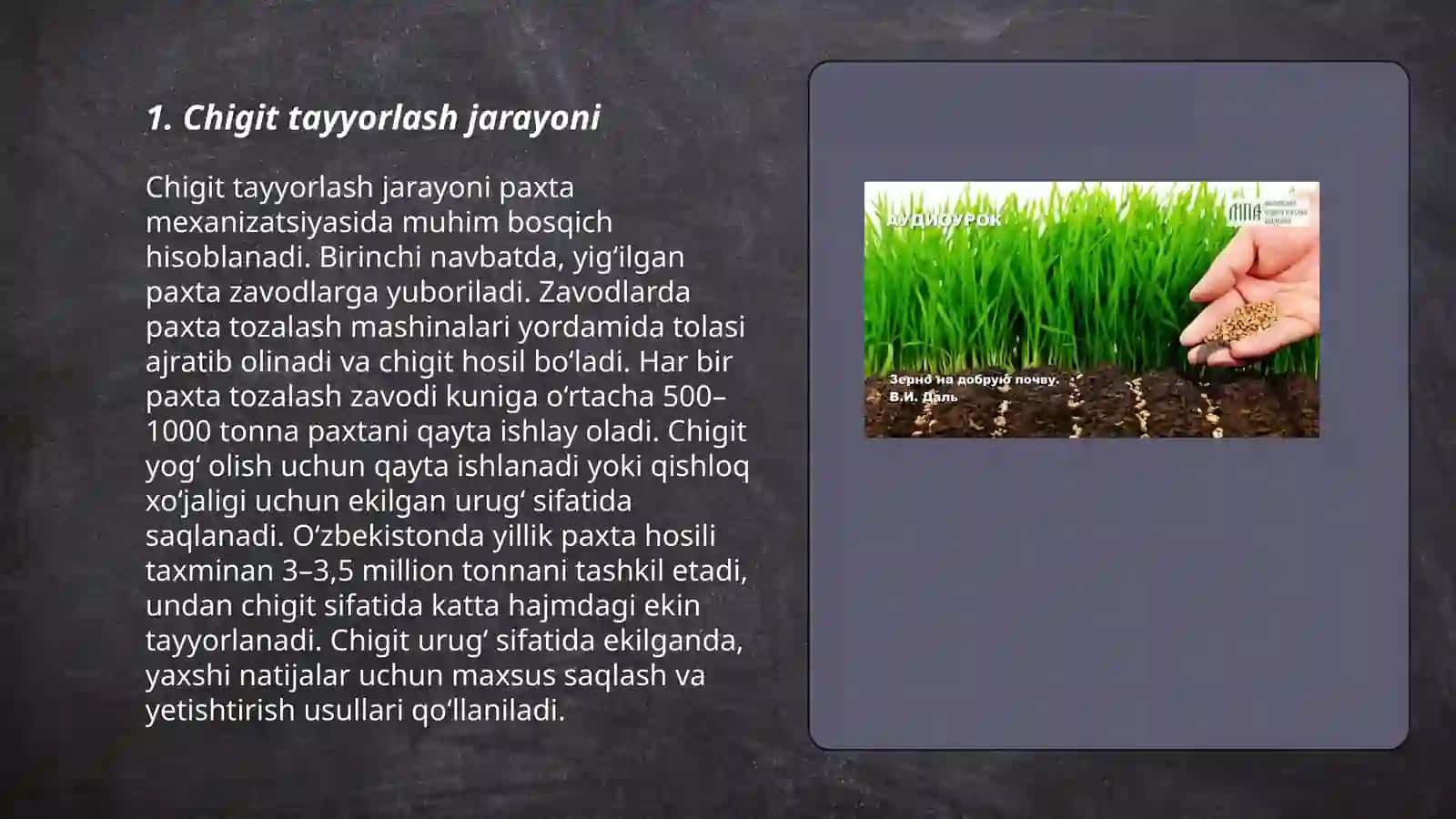 Chigitni ekishga tayyorlash va ekish texnologiyasi 3