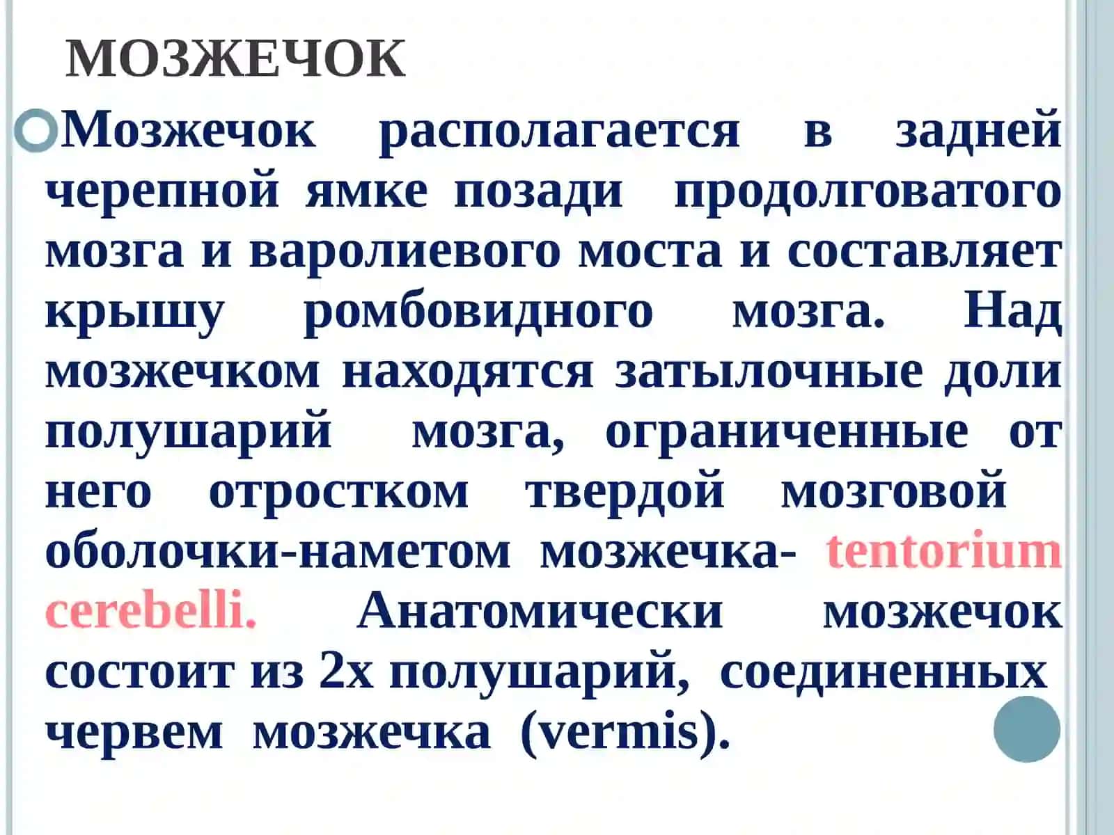 Экстрапирамидная система и мозжечок 3