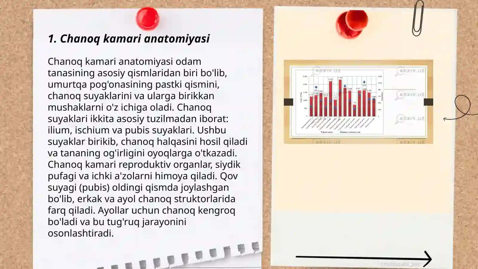 Chanoq kamari va oyoqning erkin suyaklari by Jumayeva Mahliyo 3