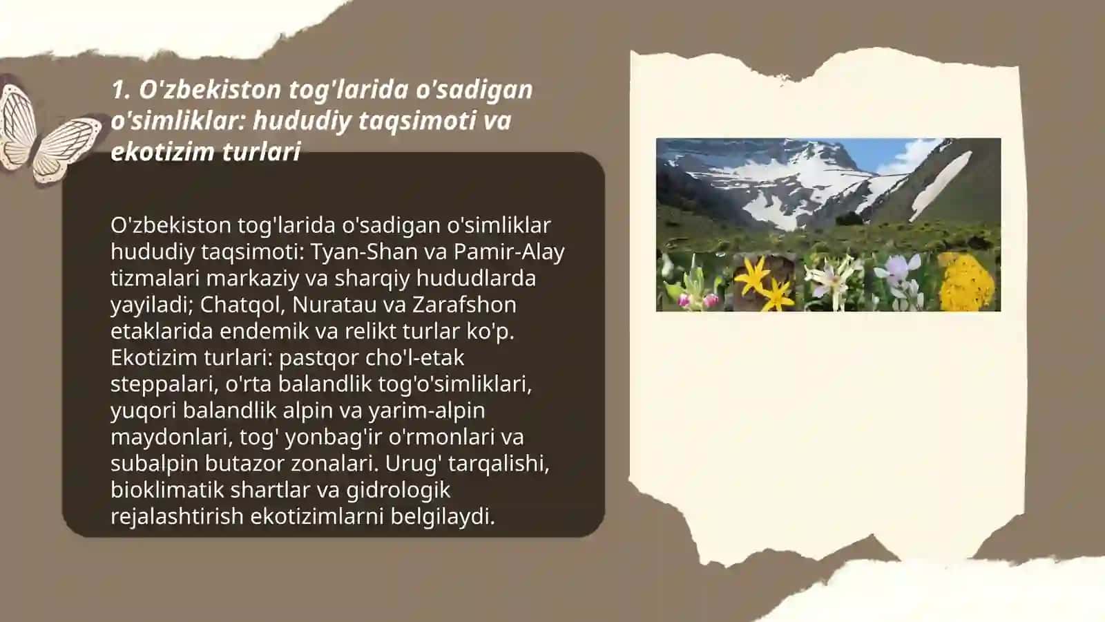 O'zbekiston tog'larida o'sadigan o'simliklar 3