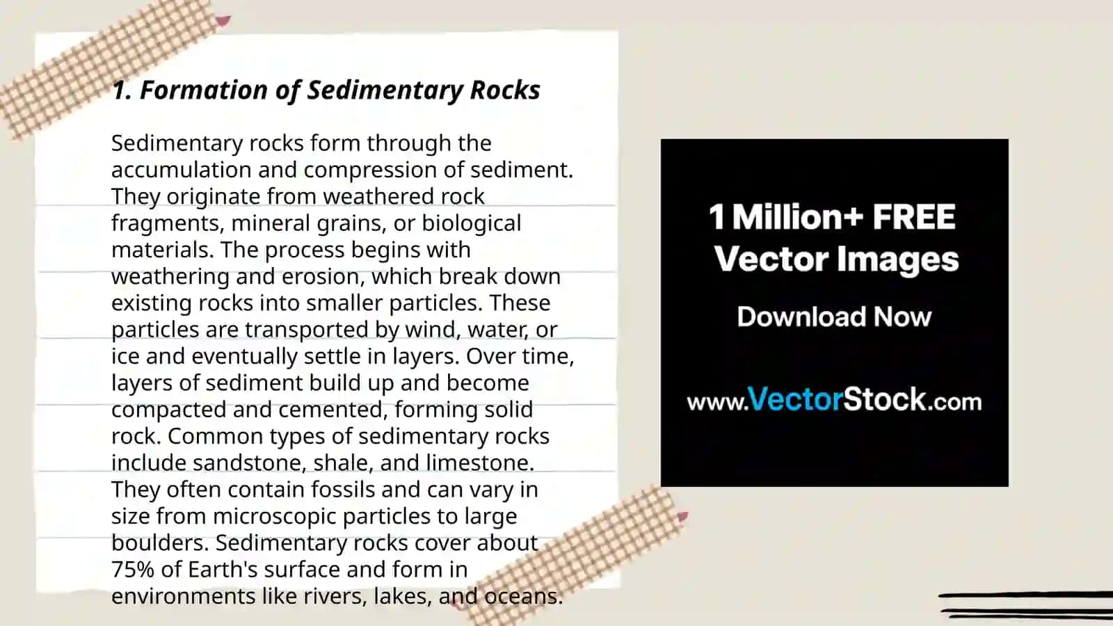 Sedimentary rocks 3