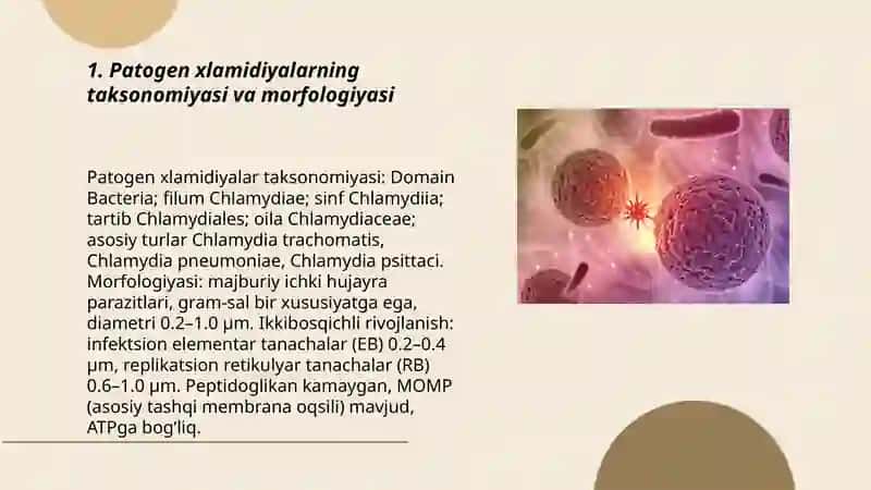 Patogen xlamidiyalar qo’zg’atuvchikasalliklar.Mikoplazma qo’zg’atuvchisi 3
